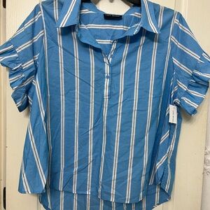 Lane Bryant Blue and White Striped Shirt